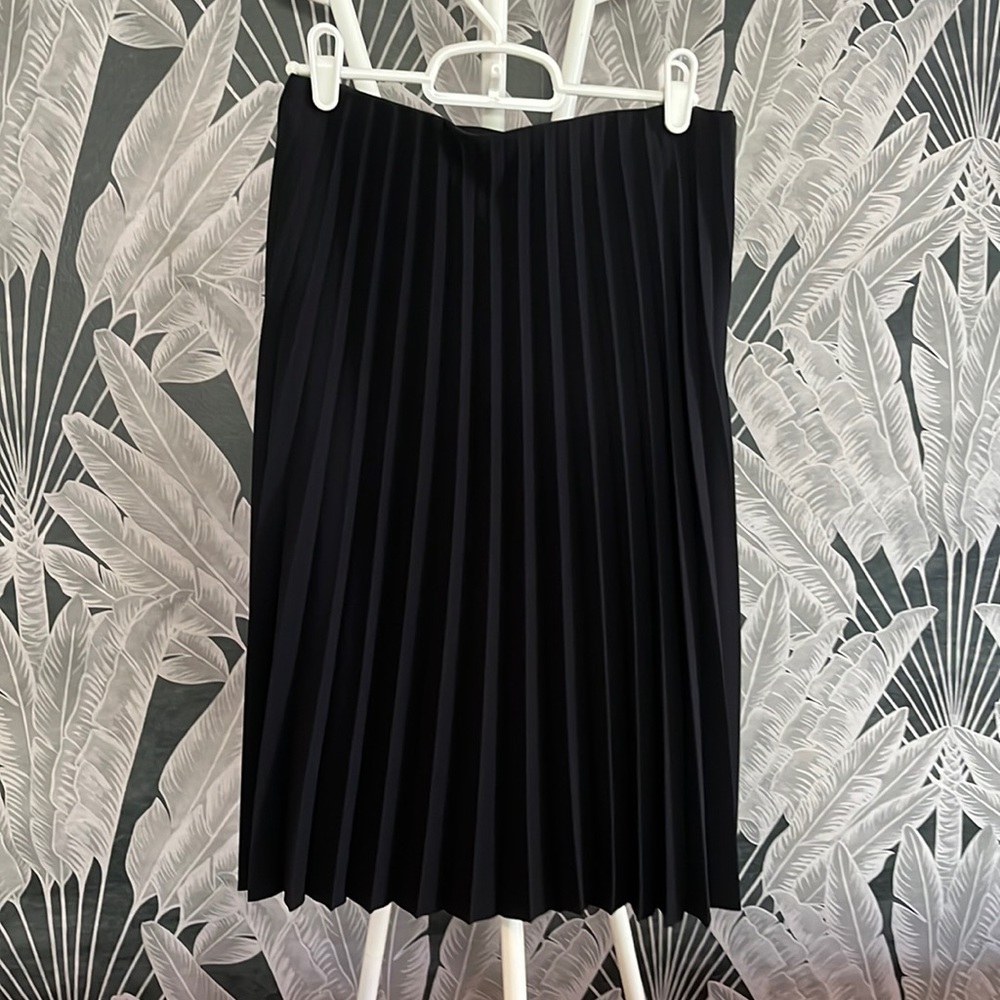 NWOT Everlane Pleated Skirt